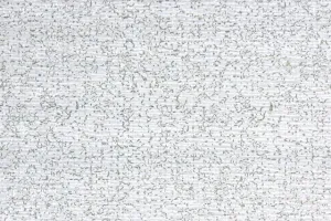 1950s Fine Graphics Vintage Wallpaper