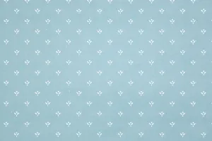 1980s | 1990s Fine Graphic Vintage Wallpaper