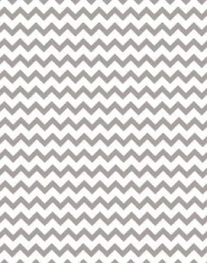 a|s cardstock - chevron seattle
