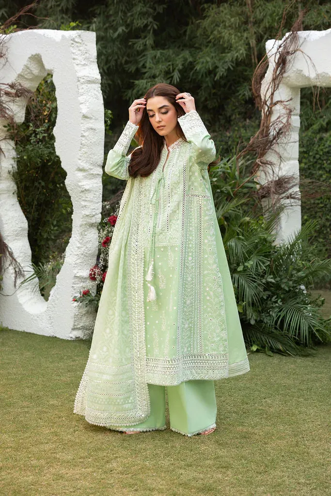 Design 7B Luxury Lawn