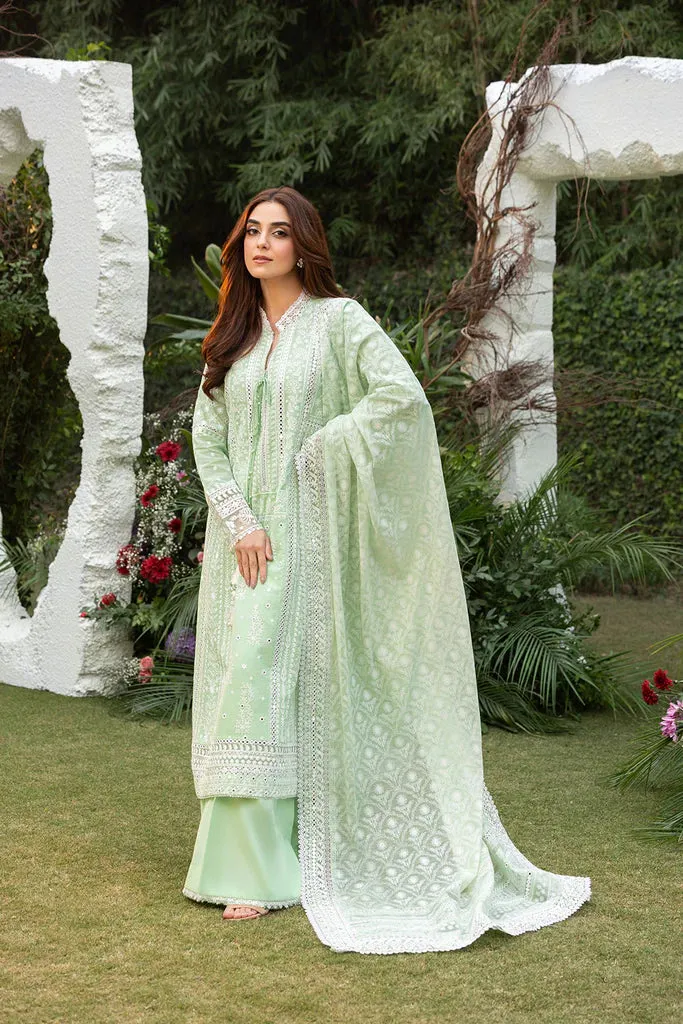 Design 7B Luxury Lawn