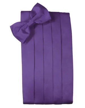 Freesia Luxury Kids Satin Cummerbund