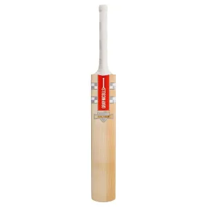 GRAY NICOLLS SILVER CRICKET BAT