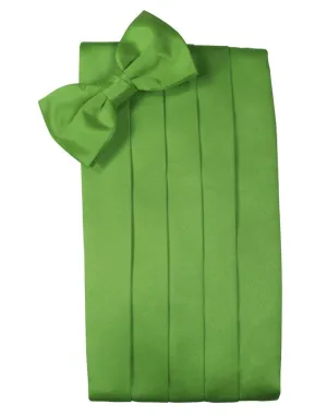 Kelly Luxury Satin Cummerbund