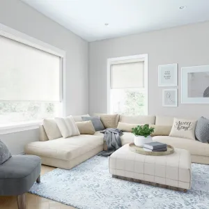 LEVOLOR Custom Cordless Light Filtering Roller Shades, Heathered in Whisper LEVOLOR Width: 46.50"W, Length: 36"L