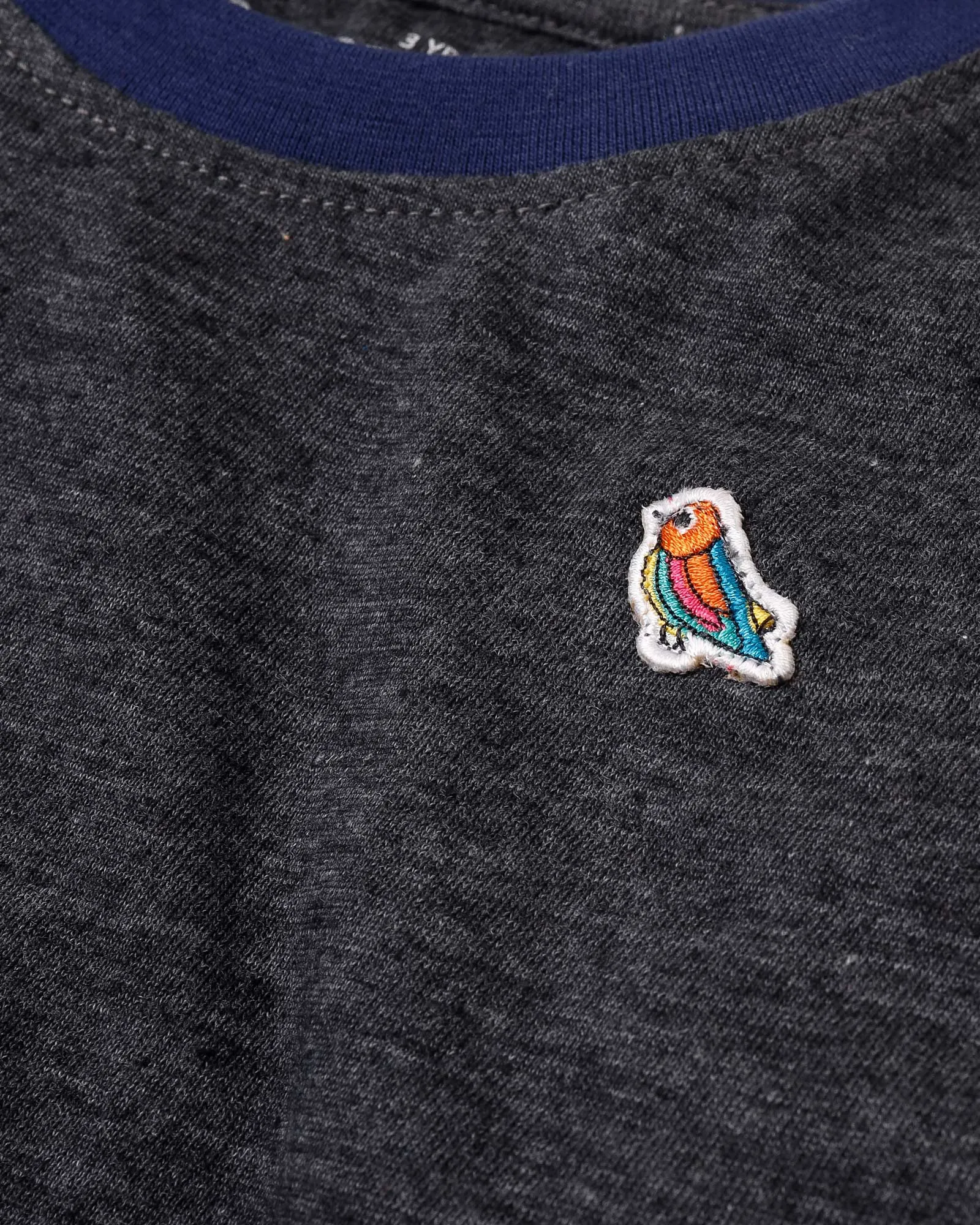 Solid Grey T-Shirt