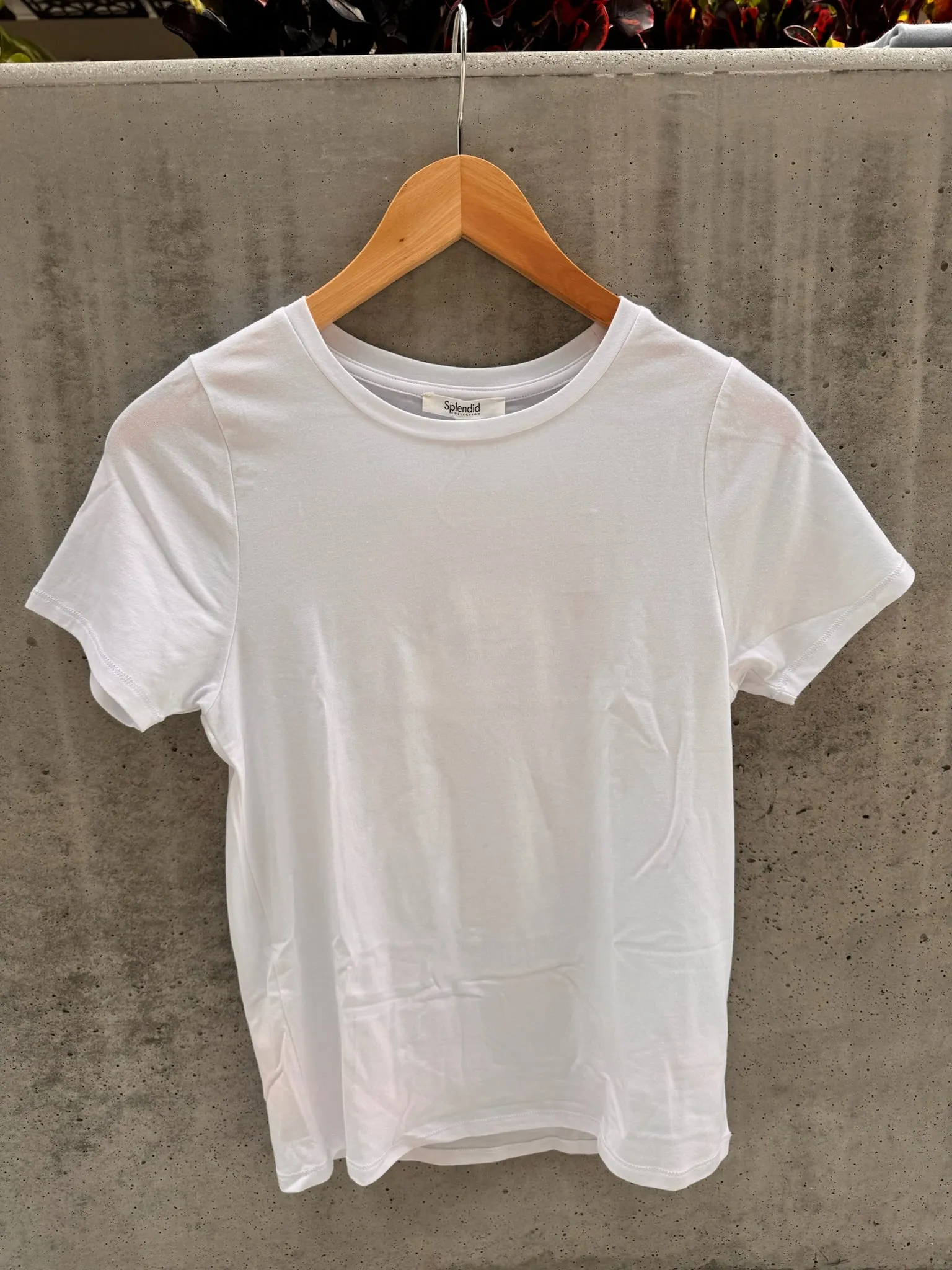 Splendid Genevieve Tee