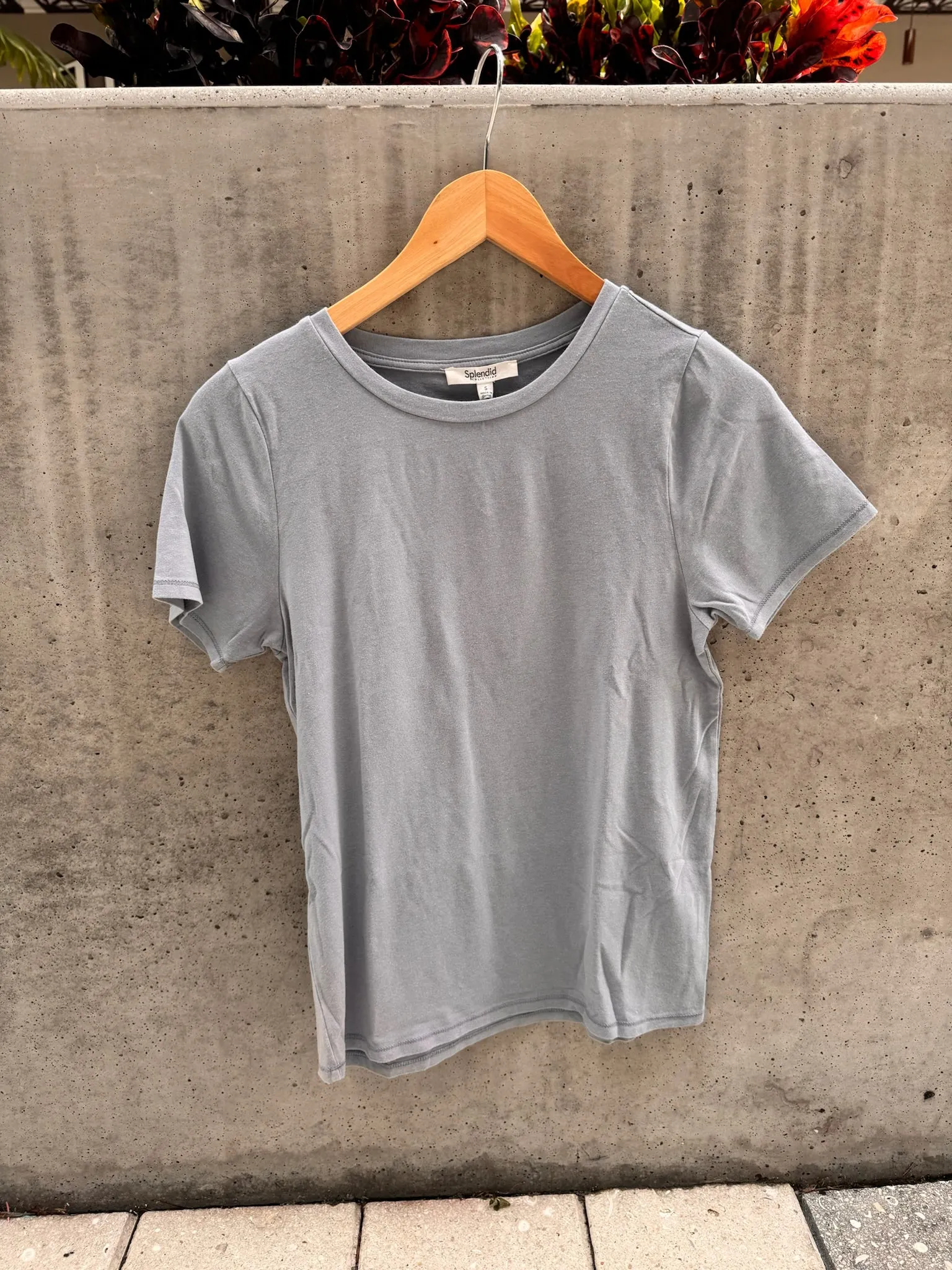 Splendid Genevieve Tee