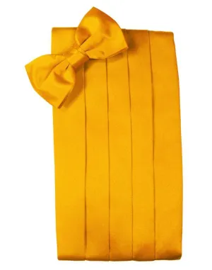 Tangerine Luxury Kids Satin Cummerbund