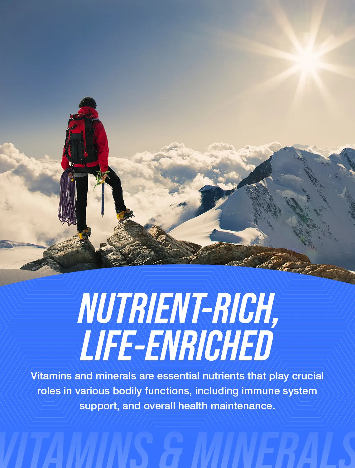 Thiamine HCl (Vitamin B1) Powder