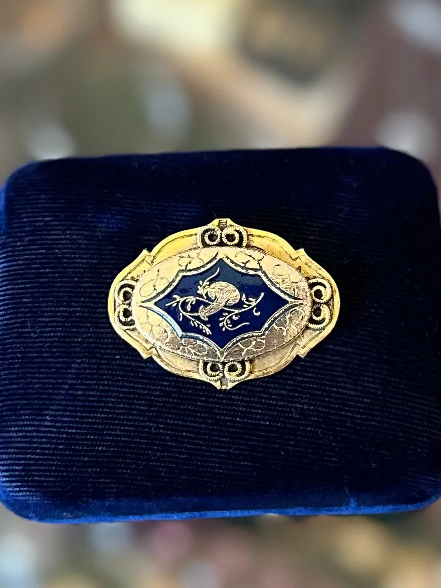 Vintage Midcentury Signed FREIRICH French Gold Plated & Navy Blue Enamel Mushroom Oval Brooch