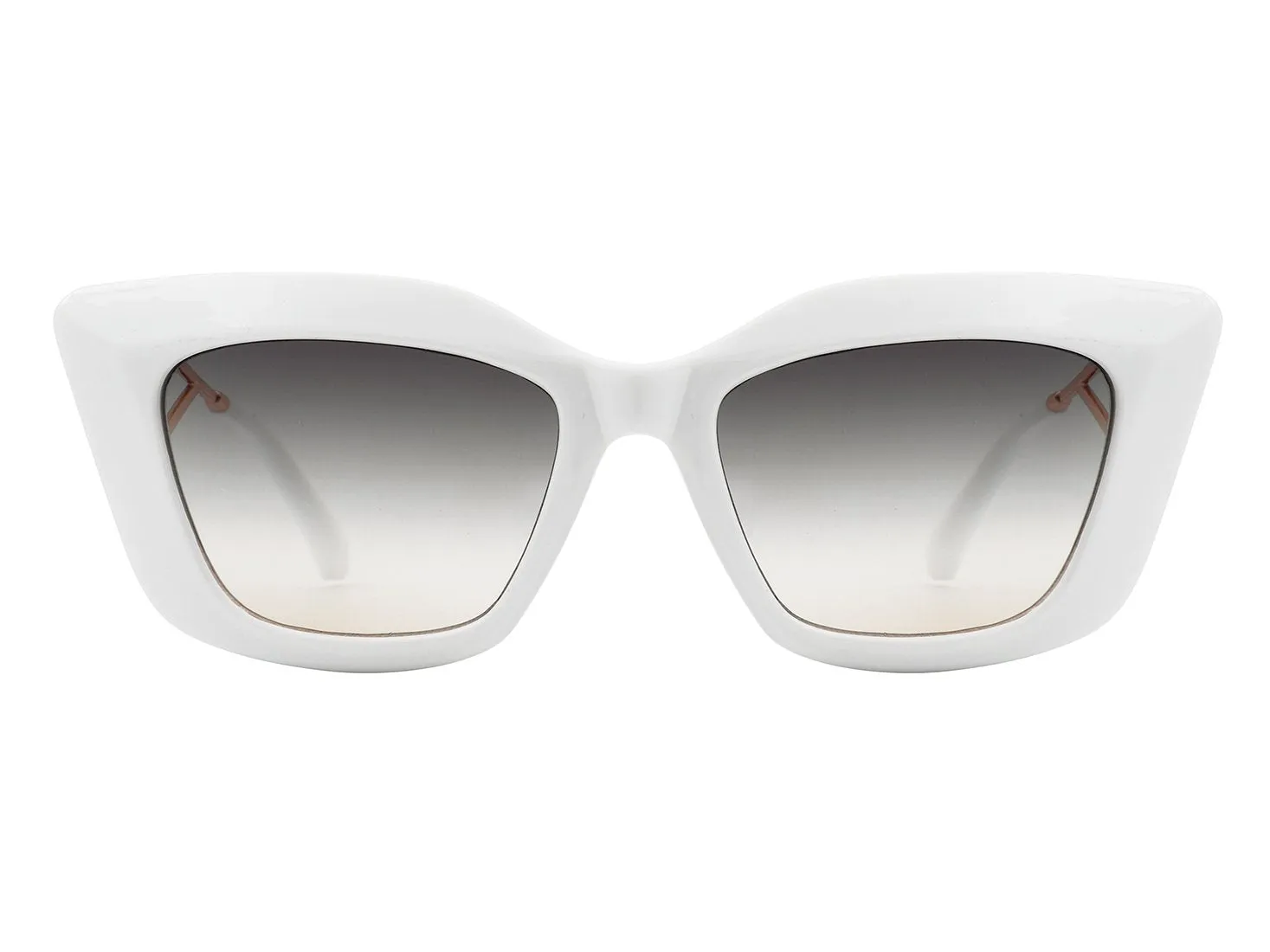 WOMEN BOLD RETRO SQUARE FASHION CAT EYE SUNGLASSES